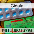 Cidala new03